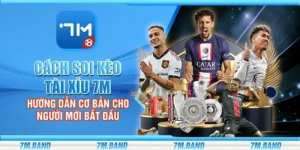 Cách soi kèo tài xỉu 7m – Hướng dẫn cơ bản cho người mới bắt đầu