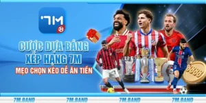 Cược dựa bảng xếp hạng 7m – Mẹo chọn kèo dễ ăn tiền