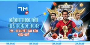 Cách theo dõi biến động odds 7m - Bí quyết bắt kèo hiệu quả