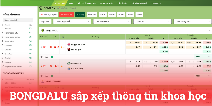 Cách sắp xếp thông tin thông minh và khoa học trên Bongdalu