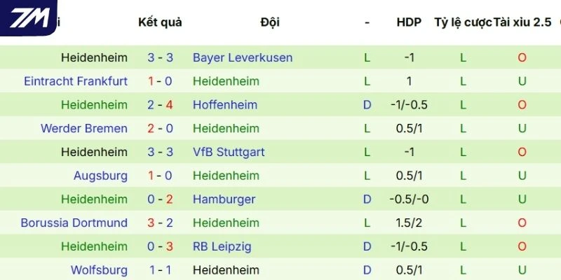Màn thể hiện qua các lần ra sân của Heidenheim