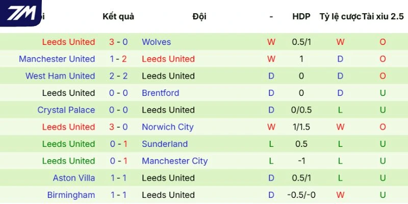 Ấn tượng thi đấu của Leeds United