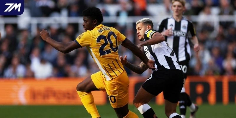 So sánh Newcastle United vs Brighton trước trận
