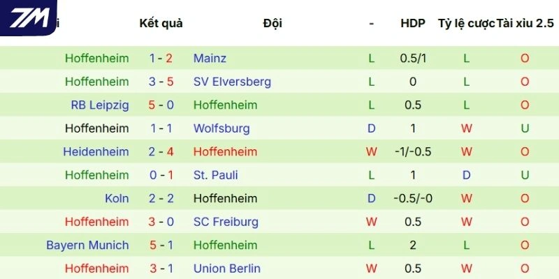 Thực lực gần đây của Hoffenheim