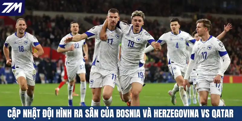 Cập nhật đội hình ra sân của Bosnia và Herzegovina vs Qatar