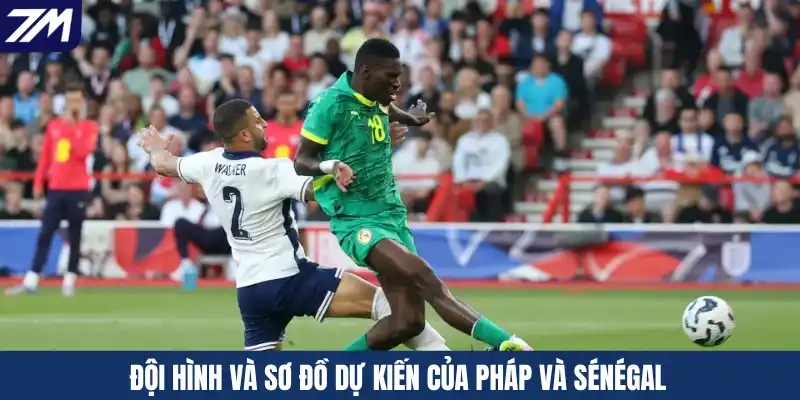 Đội hình và sơ đồ dự kiến của Pháp và Sénégal