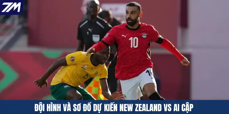 Đội hình và sơ đồ dự kiến New Zealand vs Ai Cập