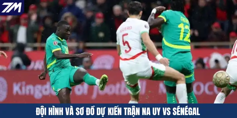 Đội hình và sơ đồ dự kiến trận Na Uy vs Sénégal