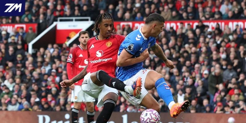 Dự đoán kèo Brighton vs Manchester United